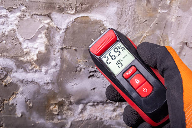 Best Crawl Space Mold Removal  in Lakewood, CO