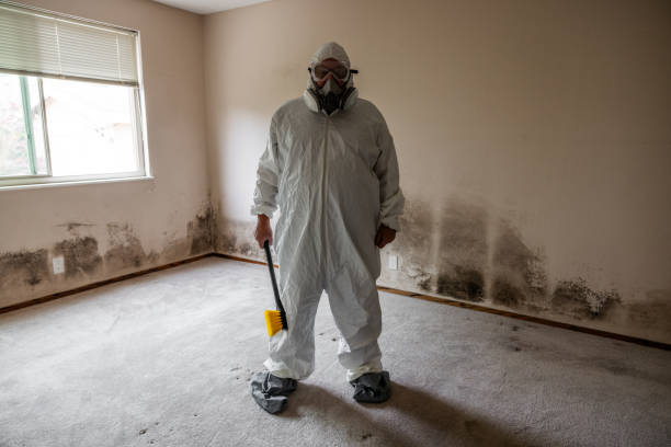 Best Residential Mold Removal  in Lakewood, CO